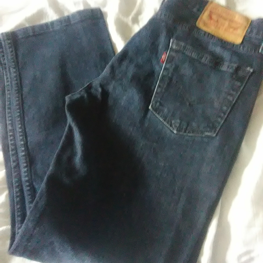 Levis Jeans 30 x 32